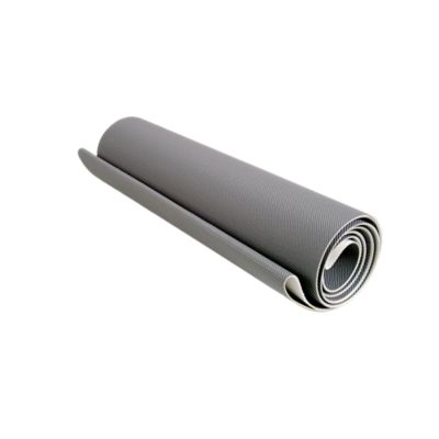 GoPro Treadmill Belt for Stairmaster/Quinton