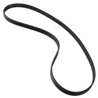 Drive Belt