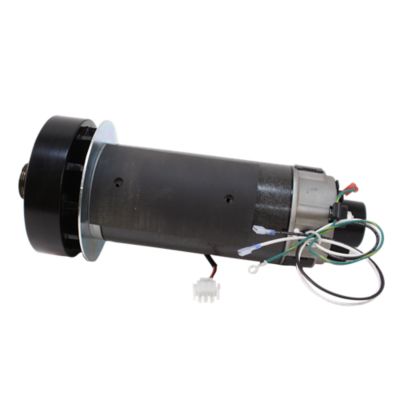 Motor Drive with Flywheel, McMillan, 110V, Landice