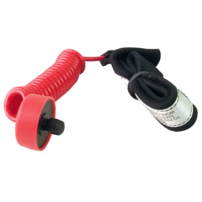 Safety Lanyard (Plug In)