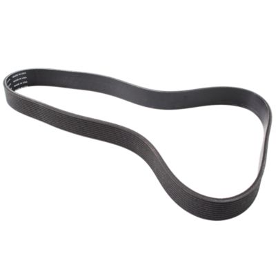 Drive Belt, Poly-V, 32"