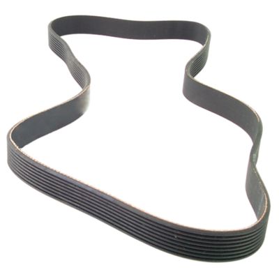 Drive Belt