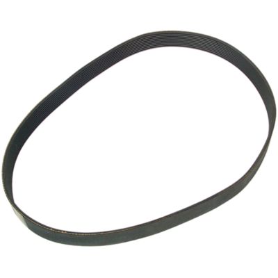 Drive Belt