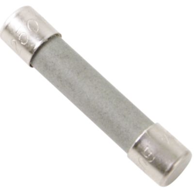 Fuse, 20 Amp Slow-Blow, 110V/250V, Trotter/Cybex
