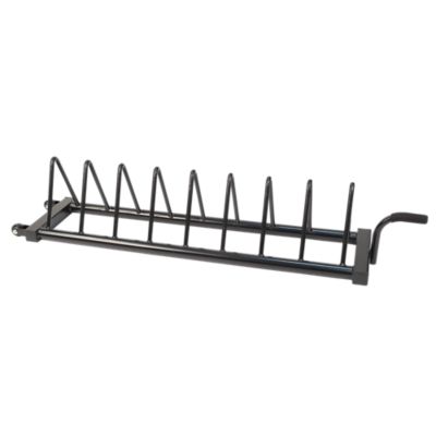 Plate Rack with Wheels, Holds Olympic Rubber Bumper Plates, Black