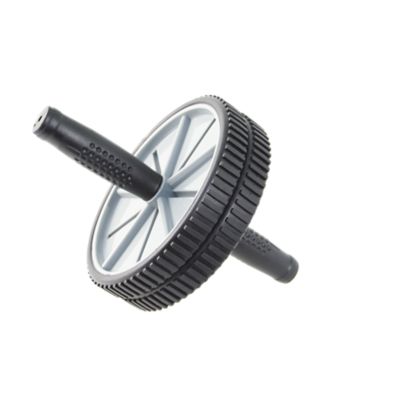 Double Ab Wheel