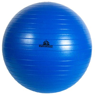 55cm Anti-Burst Stability Ball, Blue, For Users 5
