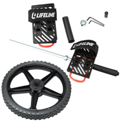 Ab Power Wheel with Instructional DVD