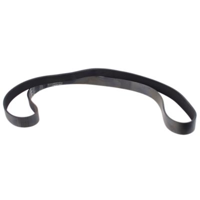 Drive Belt