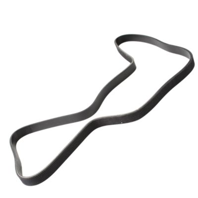 Drive Belt