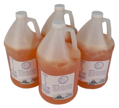 Rosemary Mint Shampoo Concentrate, Case
