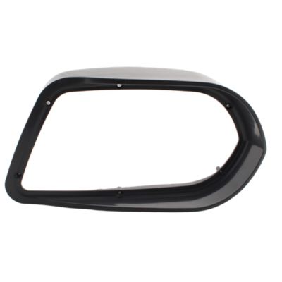 HOUSING FOOT PAD RIGHT E916