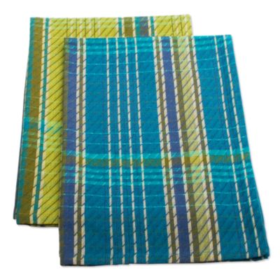 garden plaid dishtowel set of 2