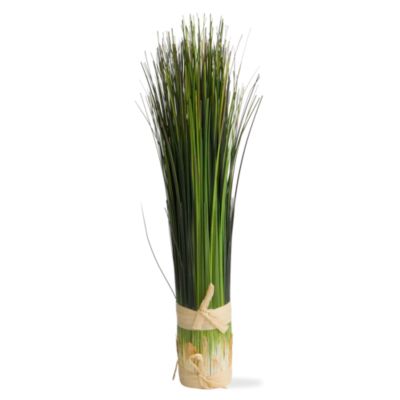 Bundled Short Onion Grass