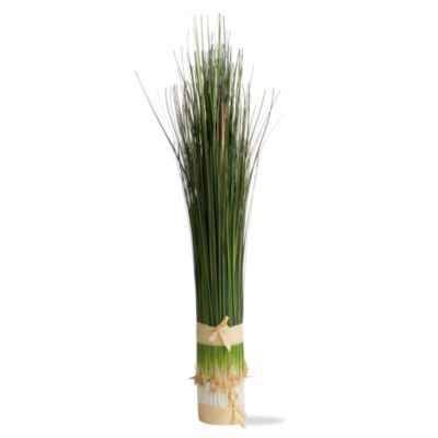 Bundled Medium Onion Grass