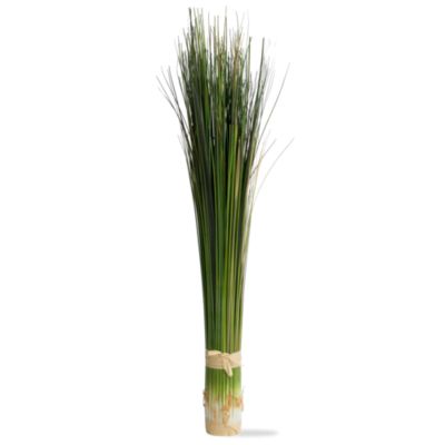 Bundled Tall Onion Grass