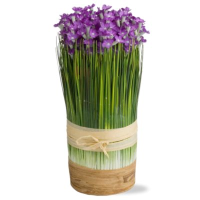 Bundled Purple Strawflowers