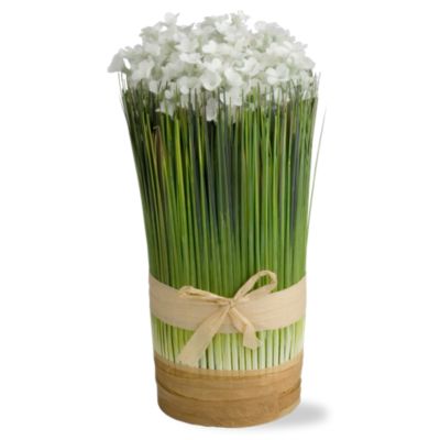 Bundled White Strawflowers