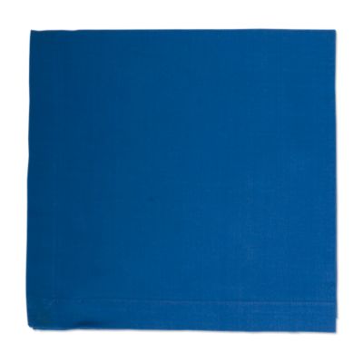 belize brights solid blue napkin