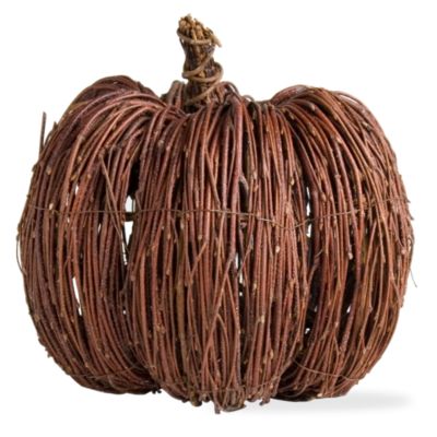 Autumn harvest vine large pumpkin