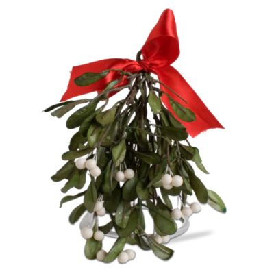 Christmas Hanging Mistletoe