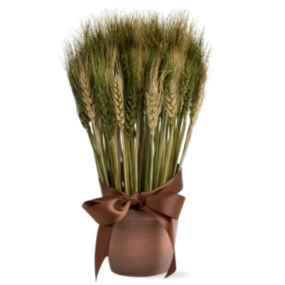 Potted wheat grass small