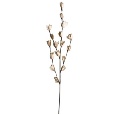 sola petal stem