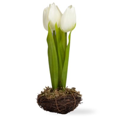 tulips in a nest white