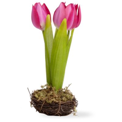 tulips in a nest fuchsia