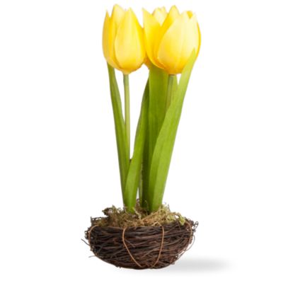 tulips in a nest yellow