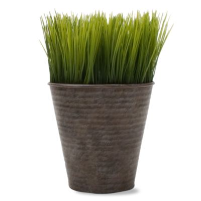 Round Metal Potted Wheat Grass