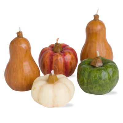 Autumn Harvest Gourd & Pumpkin Mini Candle Set of 5