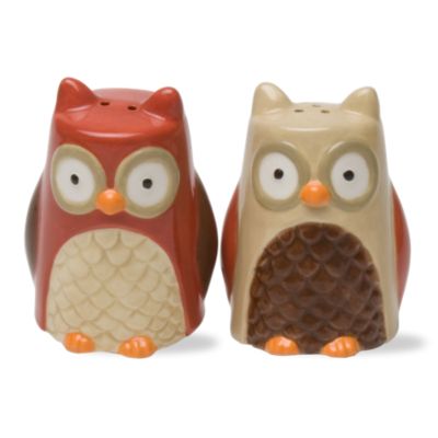 Autumn Owl Salt & Pepper Shakers