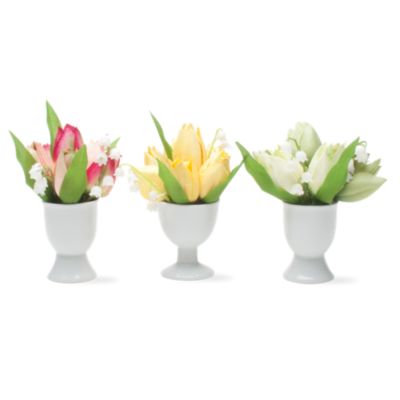 potted tulips set of 3