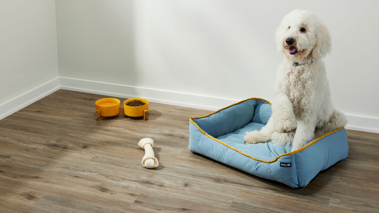 A large white dog rests on a blue dog bed, next to a bone and food and water bowls. The floor under the dog bed is covered in luxury vinyl wood-look planks.