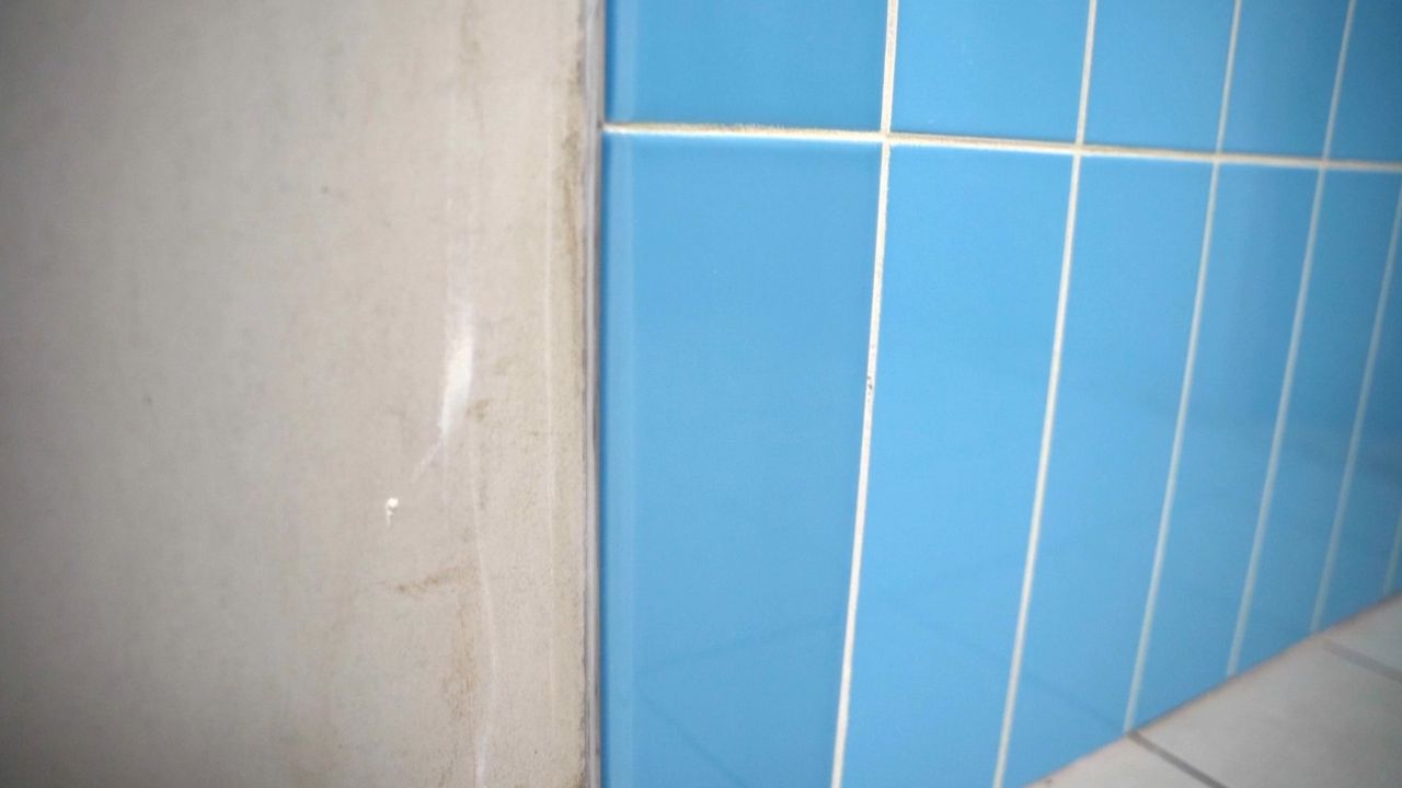Example of shower wall tile with a bullnose edge. Installing bullnose tile is a simple way to create a transition from a tiled area to another surface.