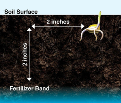 Figure 3. Positioning of starter fertilizer in a 2 x 2 location relative to seed placement. 