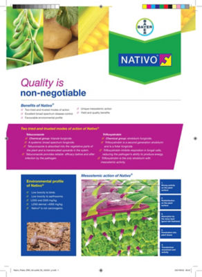 Bayer Potato Nativo Leaflet