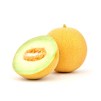 Melon Galia Seminis