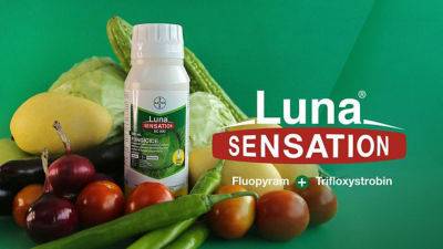 Luna® Sensation | Fluopyram + Trifloxystrobin