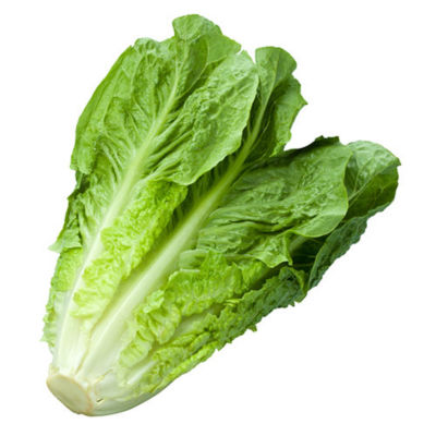 lechuga