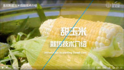 sweetcorn