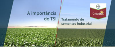A importância do TSI: Tratamento de sementes Industrial