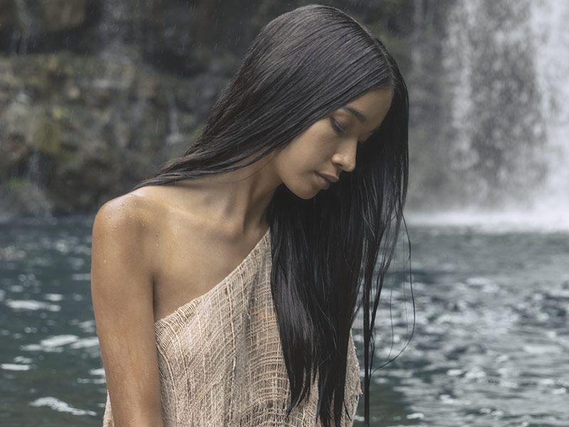 Awapuhi Wild Ginger model