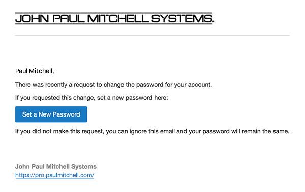 screenshot of the Update Your Password email