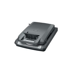 Epson artisan 810 document feeder not working together