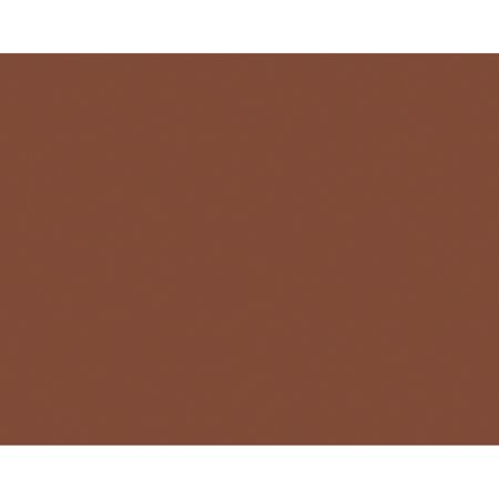 Pacon&reg; Peacock&reg; 100% Recycled Railroad Board, 22" x 28", 4-Ply, Brown, Pack Of 25 Sheets