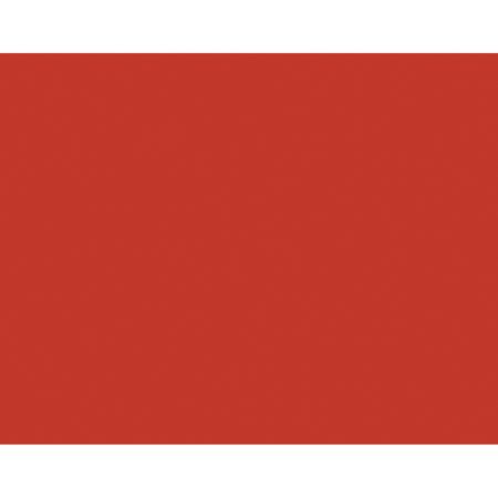 Pacon&reg; Peacock&reg; 100% Recycled Railroad Board, 22" x 28", 6-Ply, Red, Pack Of 25 Sheets