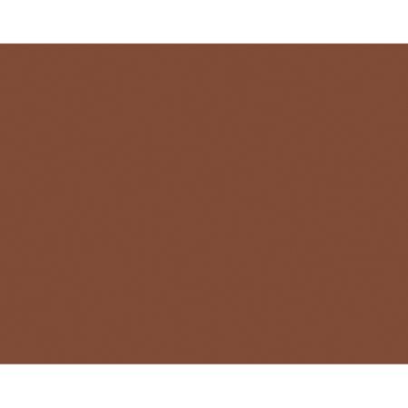 Pacon&reg; Peacock&reg; 100% Recycled Railroad Board, 22" x 28", 6-Ply, Brown, Pack Of 25 Sheets