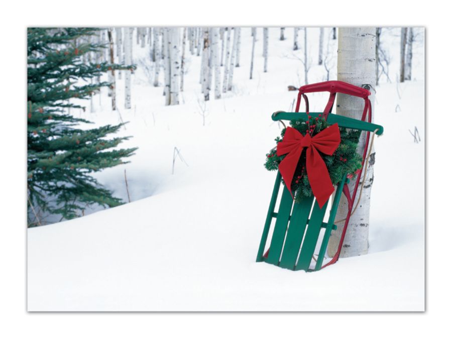 Taylor FSC Certified Personalized Holiday Cards, 7" x 5", 10% Recycled, Winter Joy Awaits, Box Of 25